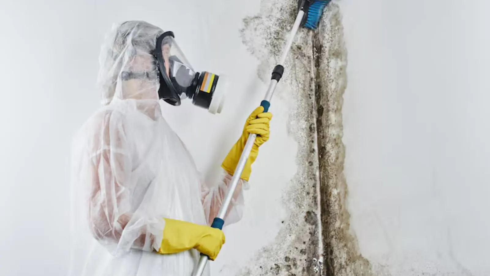 Technician in a respirator and protective suit treating a moldy wall