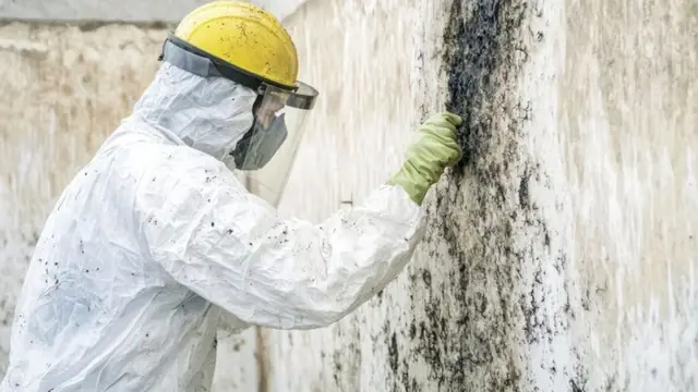 Worker in a hard hat and face shield scrubbing black mold off a wall