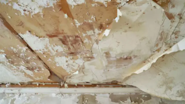Water-stained ceiling with peeling paint and plaster